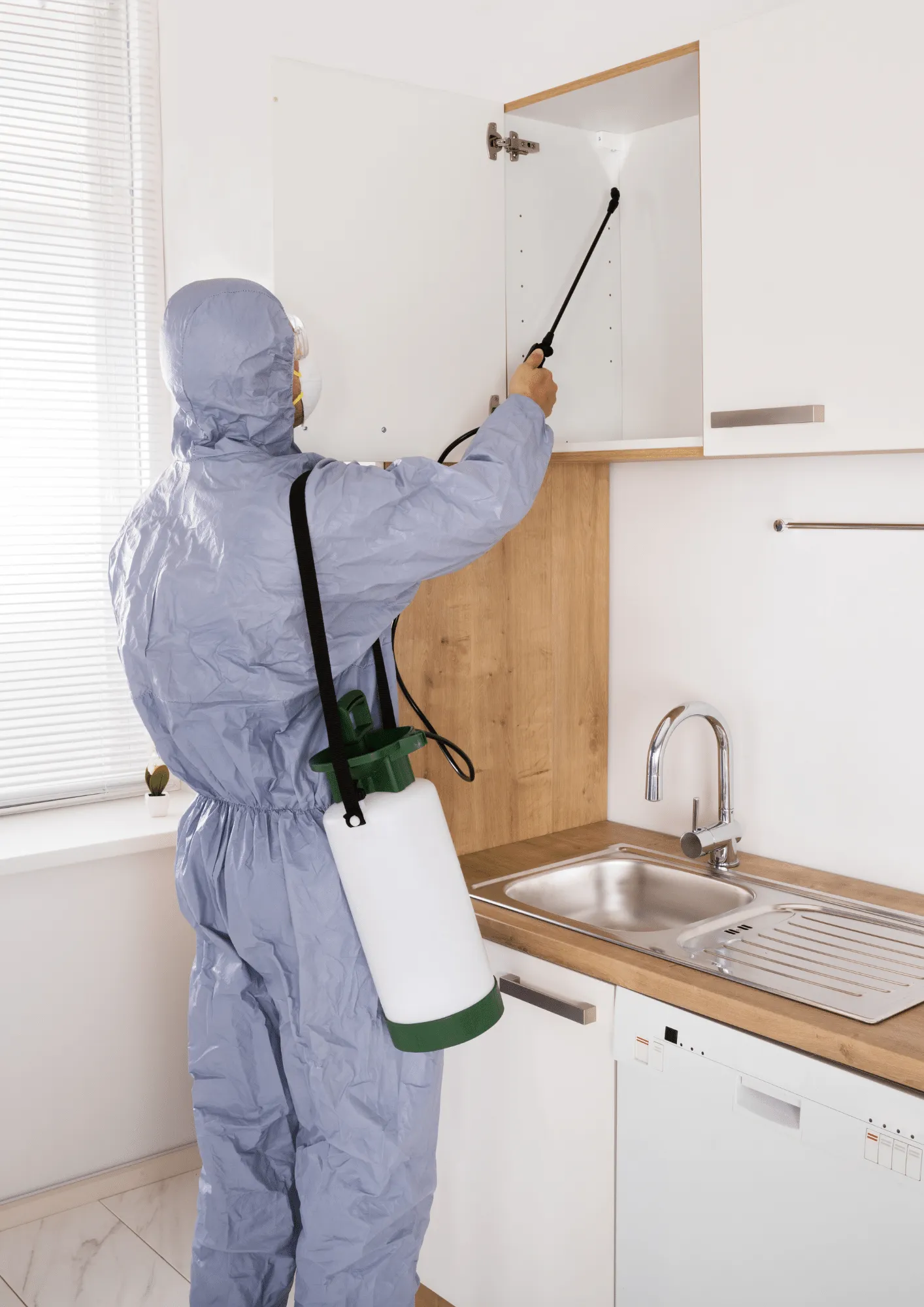 شركات مكافحة الحشرات في سلطنة عمان